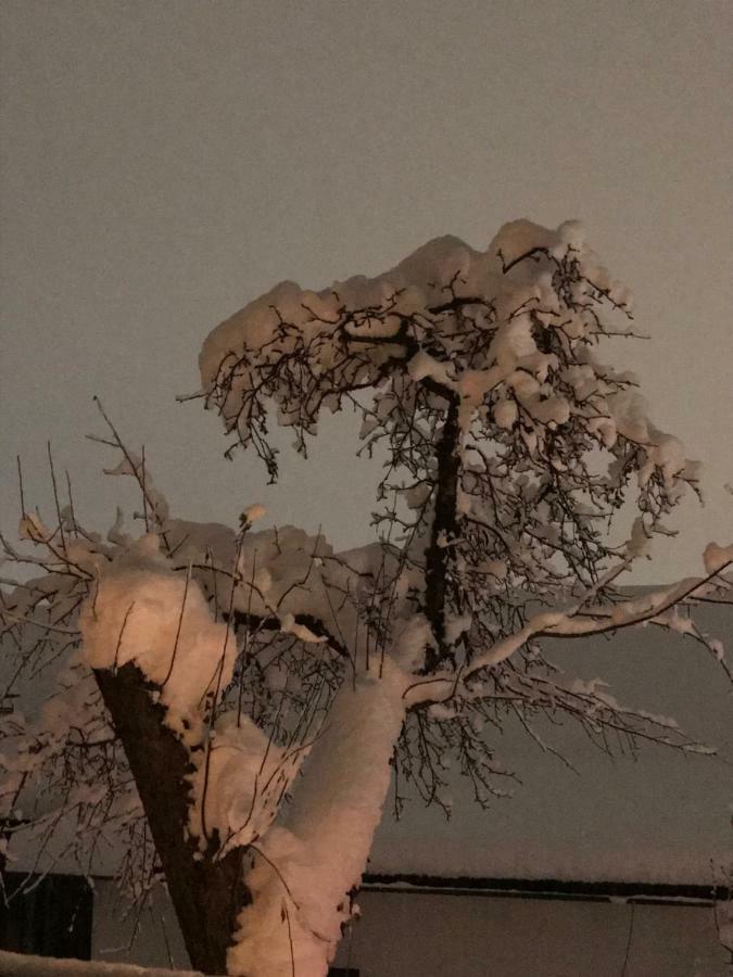 雷娜特公寓 菲根 外观 照片